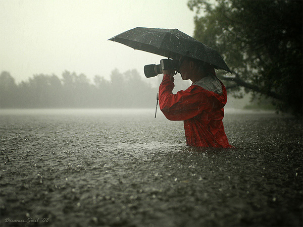 Beautiful Rain Photography